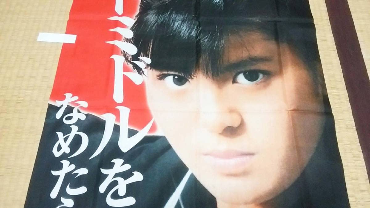 Amazon.co.jp: Detective Sukebanスケバン刑事 南野陽子「ぱちんこ
